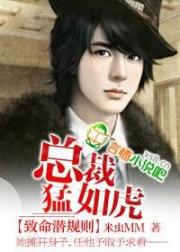 陆云叶倾城