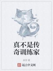 真不是传奇训练家