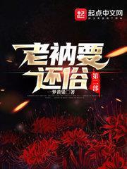 老衲要还俗第二部