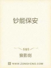 钞能保安